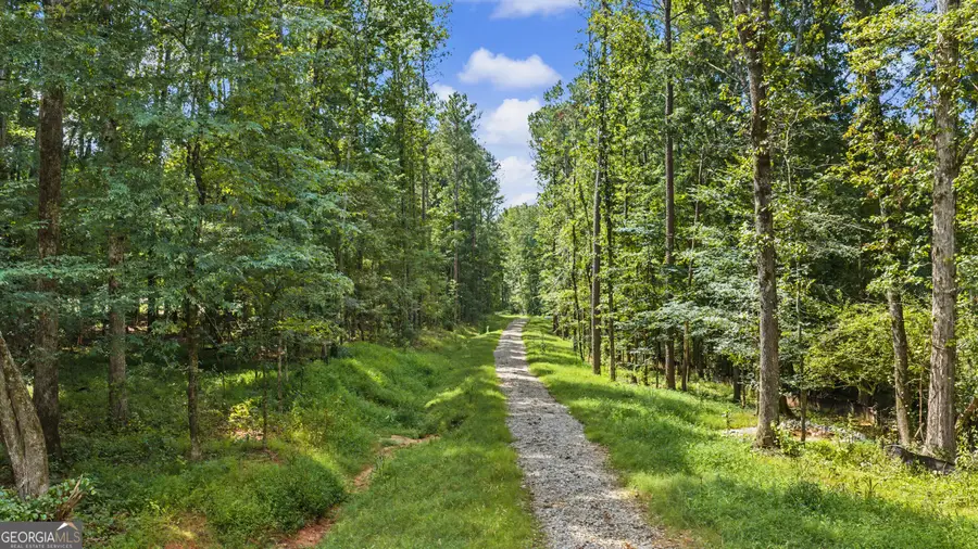 38.682 ACRES Btwn 446 & 478 Rising Star Road, Brooks, GA 30205 - #2