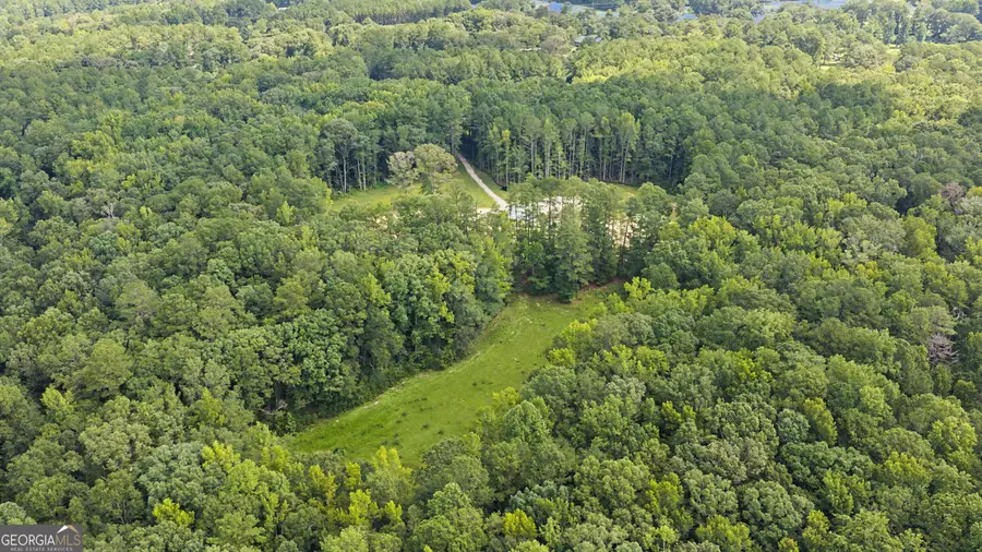 38.682 ACRES Btwn 446 & 478 Rising Star Road, Brooks, GA 30205 - #3