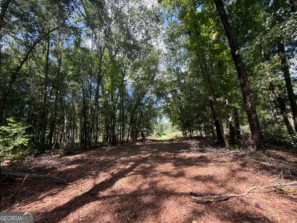 10 Sunhill Grange Road, Davisboro, GA 31018