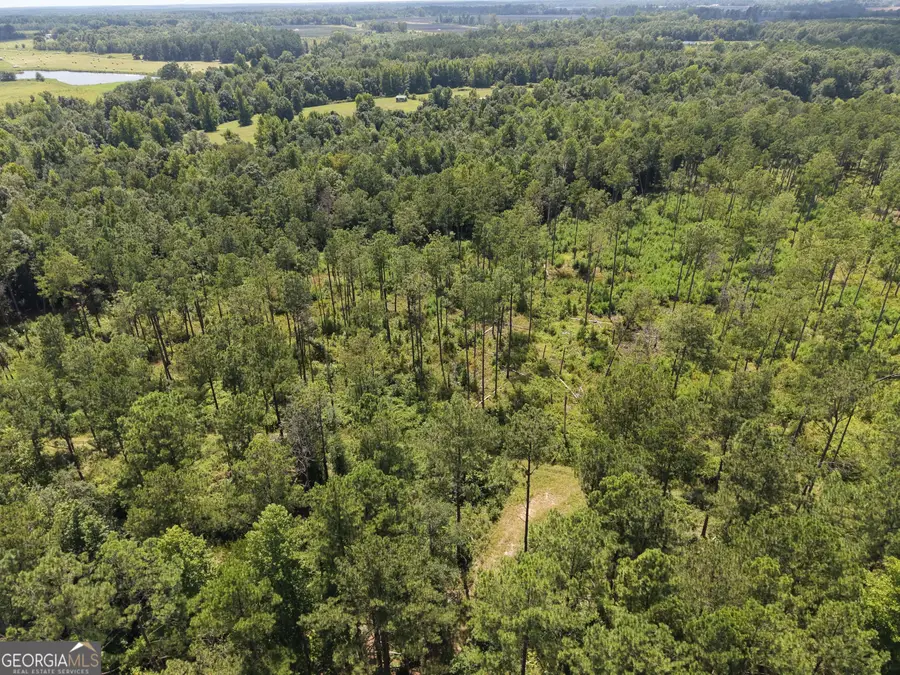 10 Sunhill Grange Road, Davisboro, GA 31018 - #3