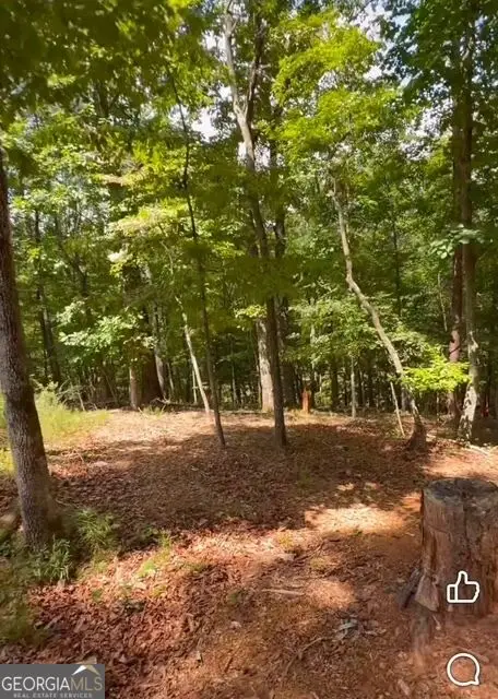 0 Rusty G Pl, Dawsonville, GA 30534 - #2