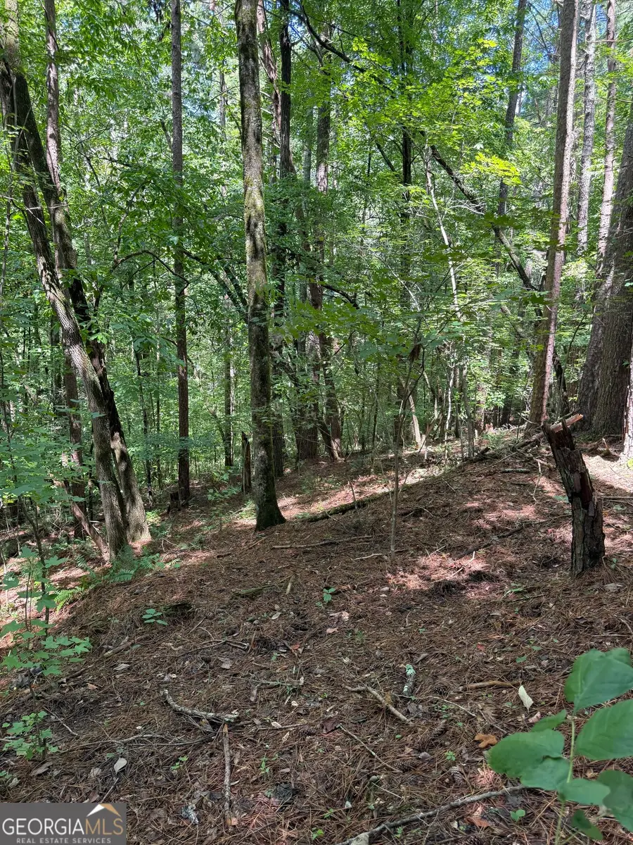 1707 Rebekah Ridge Road, Talking Rock, GA 30175 - #2