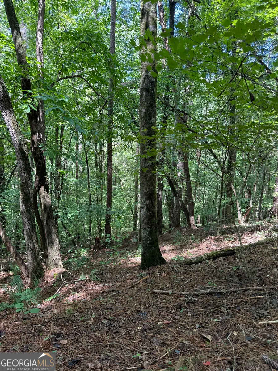 1707 Rebekah Ridge Road, Talking Rock, GA 30175 - #3