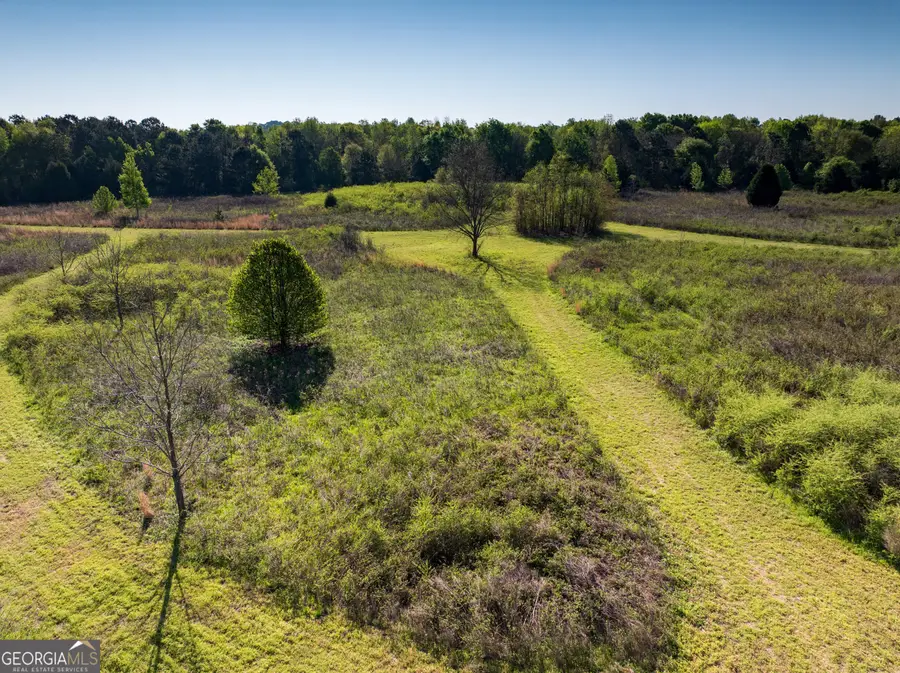 0 Browns Chapel Road, Unadilla, GA 31091 - #3