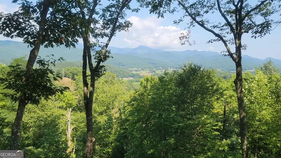 0 Fawn Ridge, Rabun Gap, GA 30568 - #2