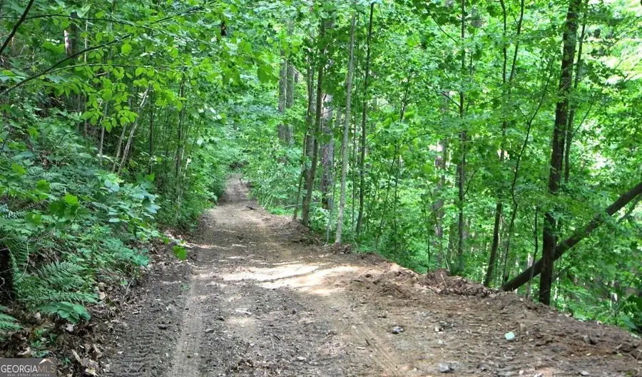 0 Fawn Ridge, Rabun Gap, GA 30568 - #3