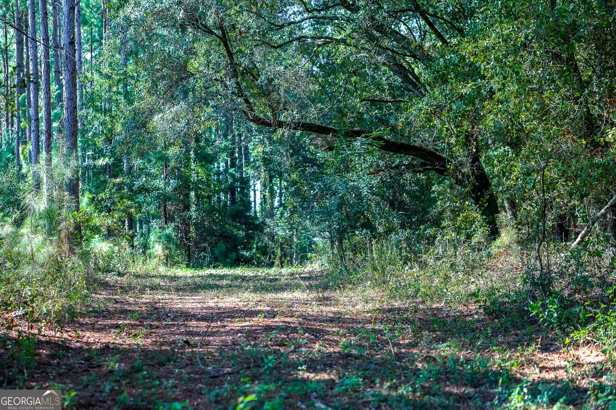 0 Pullen Road, Damascus, GA 39841 - #1