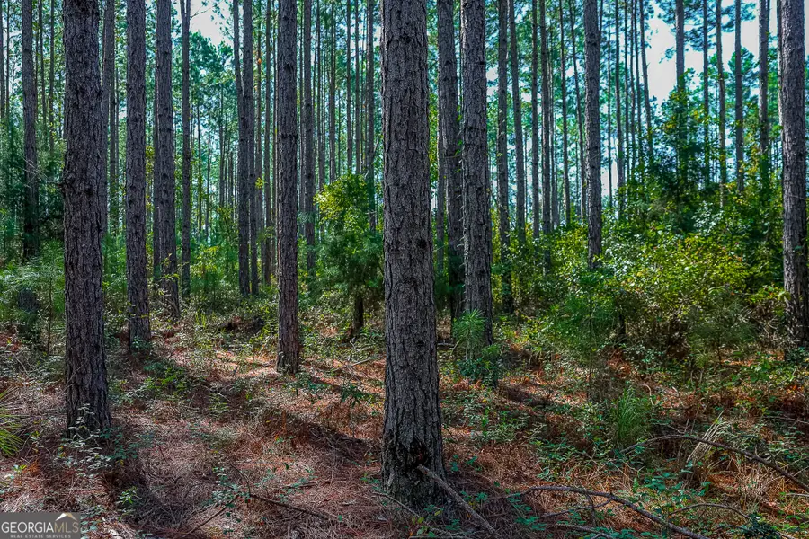 0 Pullen Road, Damascus, GA 39841 - #3