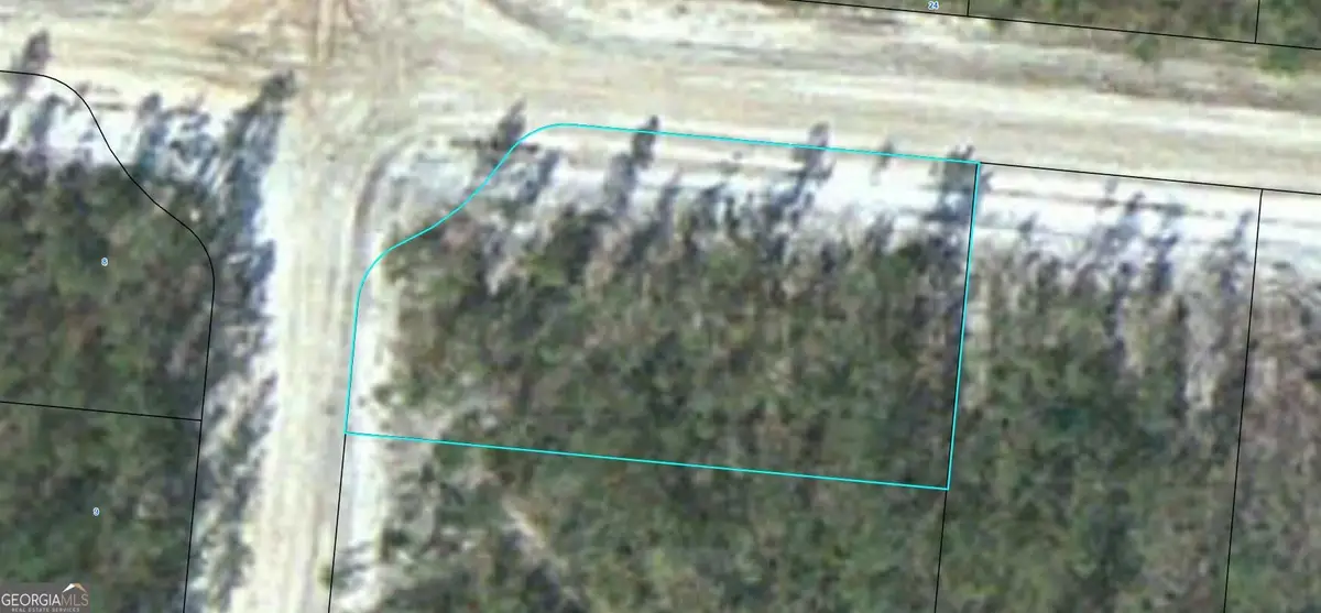 LOT 11 Satilla Plantation, Waynesville, GA 31566 - #1