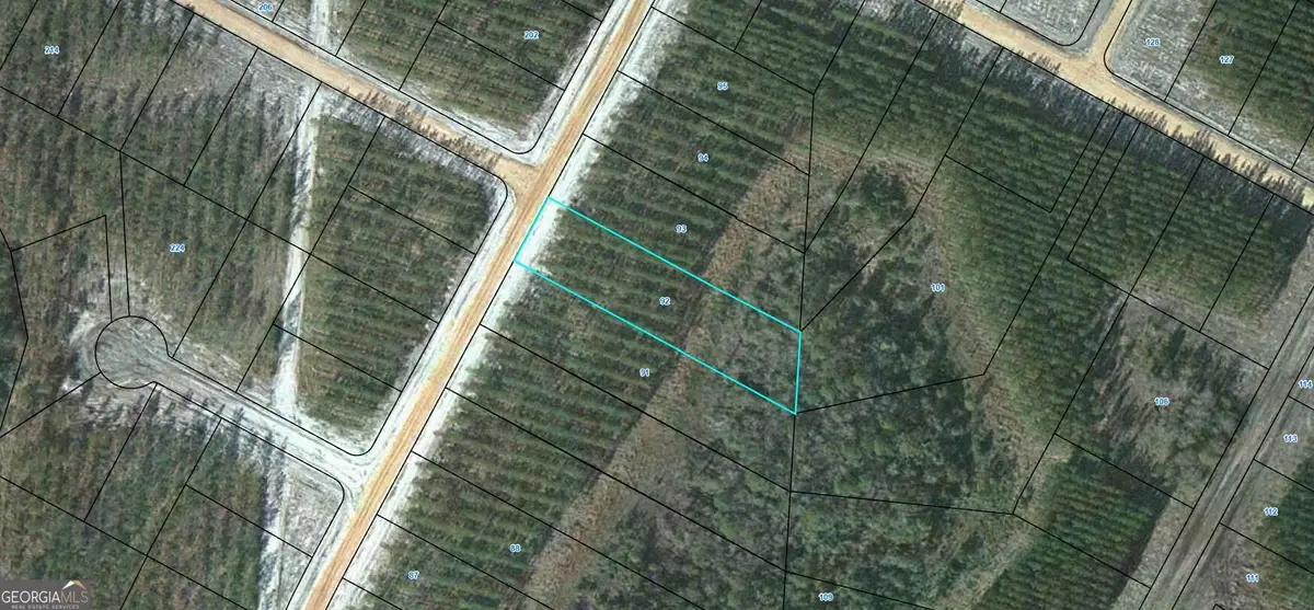 92 Satilla Plantation, Waynesville, GA 31566 - #1