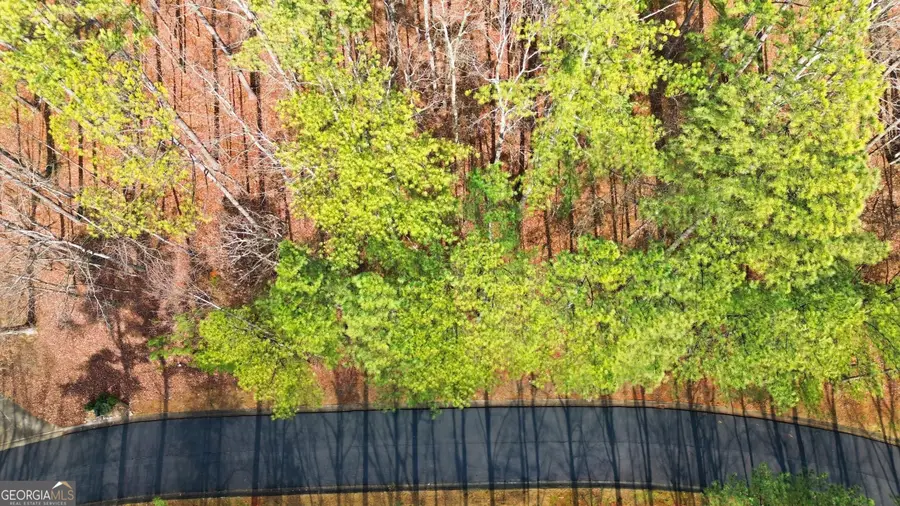 765 Plum Lane #LOT 765, Clarkesville, GA 30523 - #3