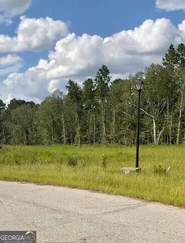 0 Colt Court, Vidalia, GA 30474
