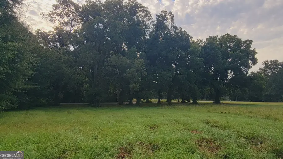 0 Bankston Rd., Meansville, GA 30256 - #2