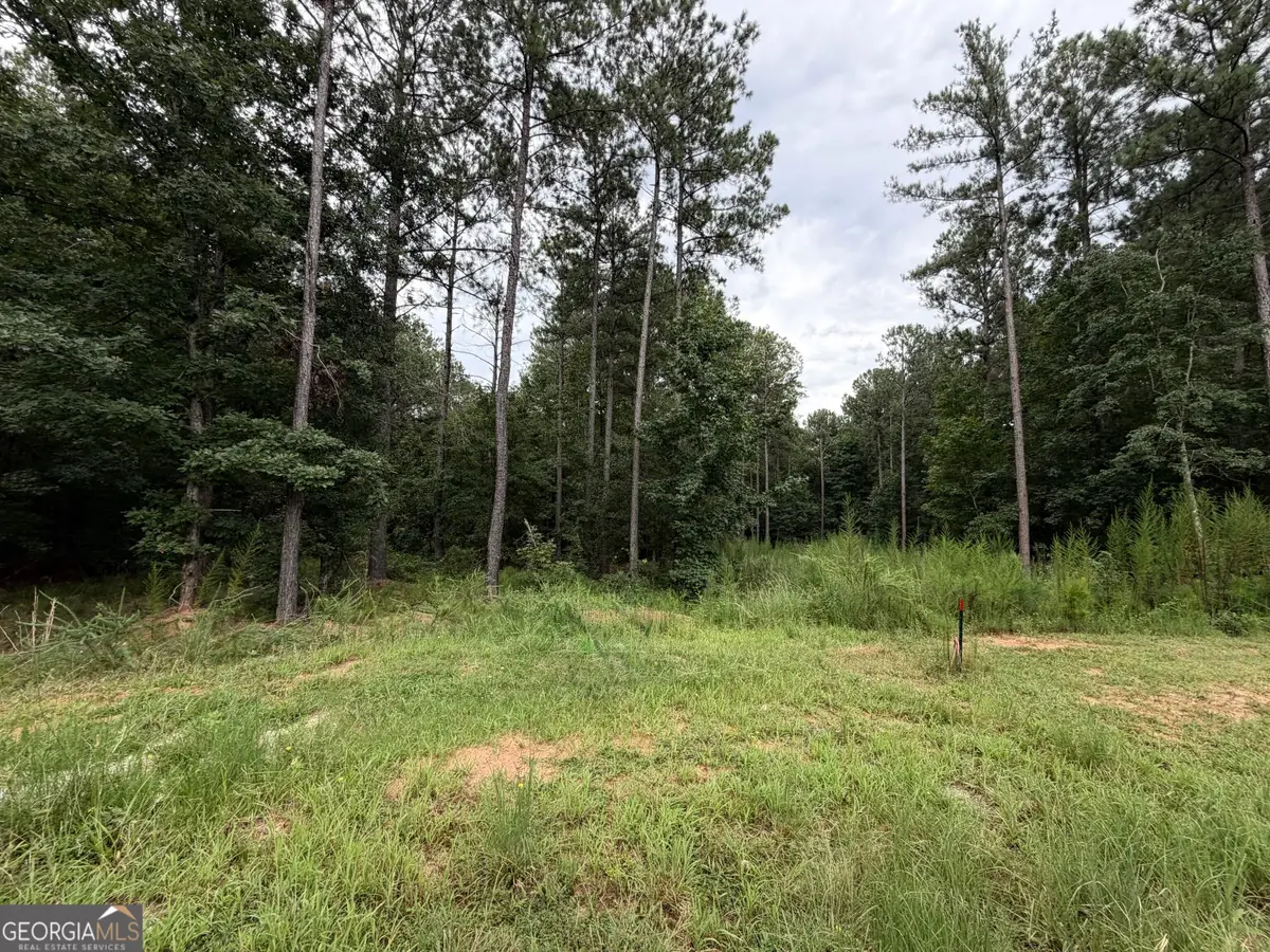 0 Spratlin Court, Hull, GA 30646 - #1