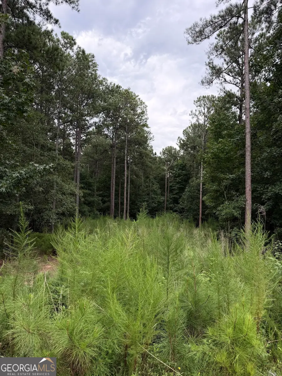 0 Spratlin Court, Hull, GA 30646 - #3