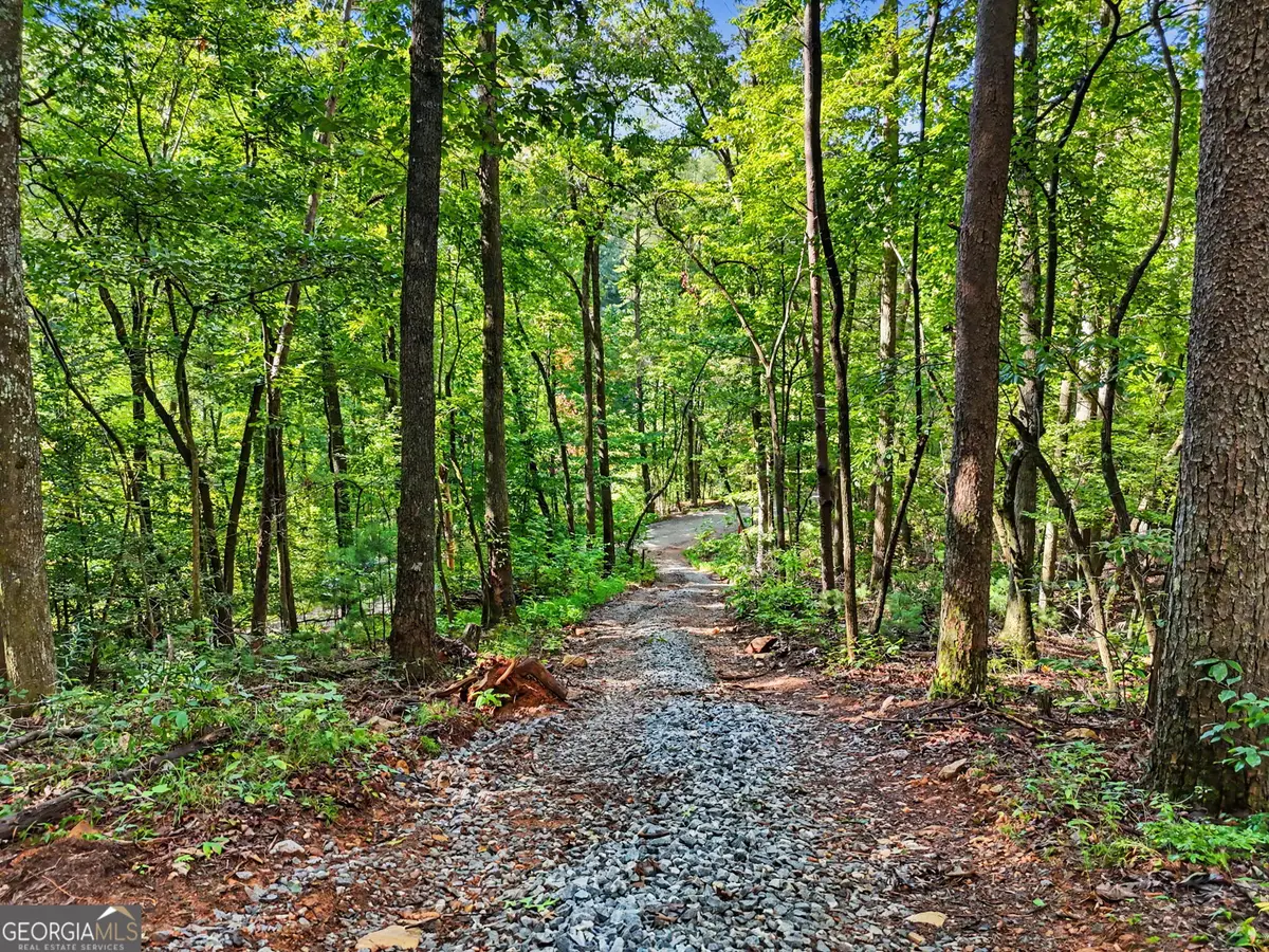 417 Kelly Mountain Road, Clarkesville, GA 30523 - #1