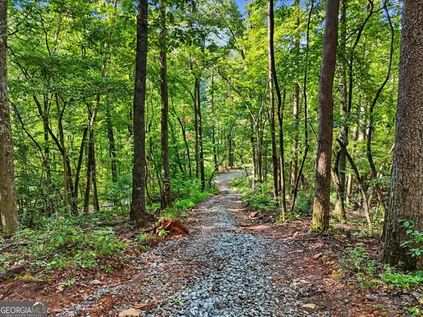 417 Kelly Mountain Road, Clarkesville, GA 30523