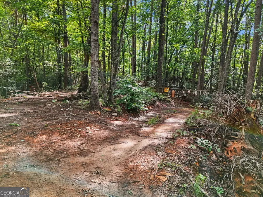 417 Kelly Mountain Road, Clarkesville, GA 30523 - #3