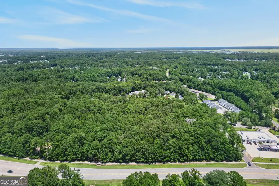 0 Harris Trail Road, Richmond Hill, GA 31324 - #2