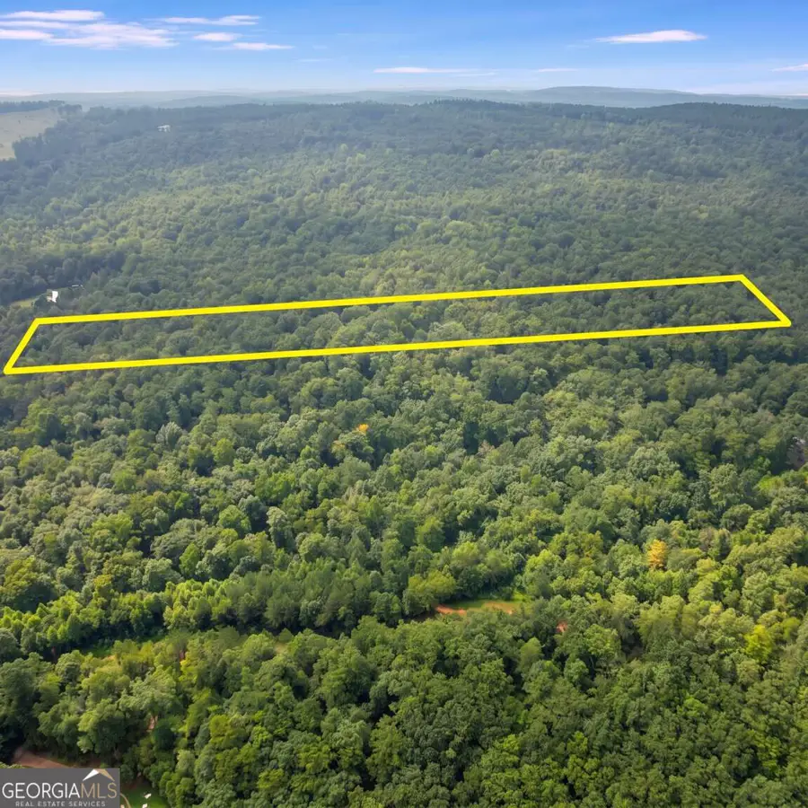 LOT 1 Flowery Branch Road, Kingston, GA 30145 - #3