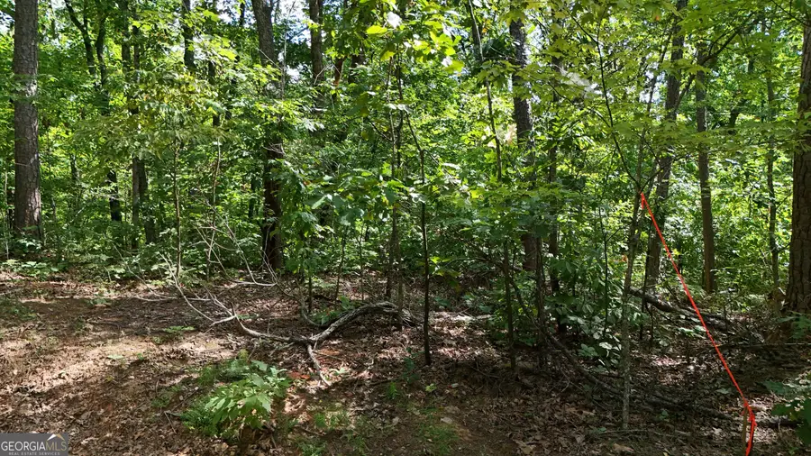 LOT 175 Mountain Crest Drive, Clarkesville, GA 30523 - #3