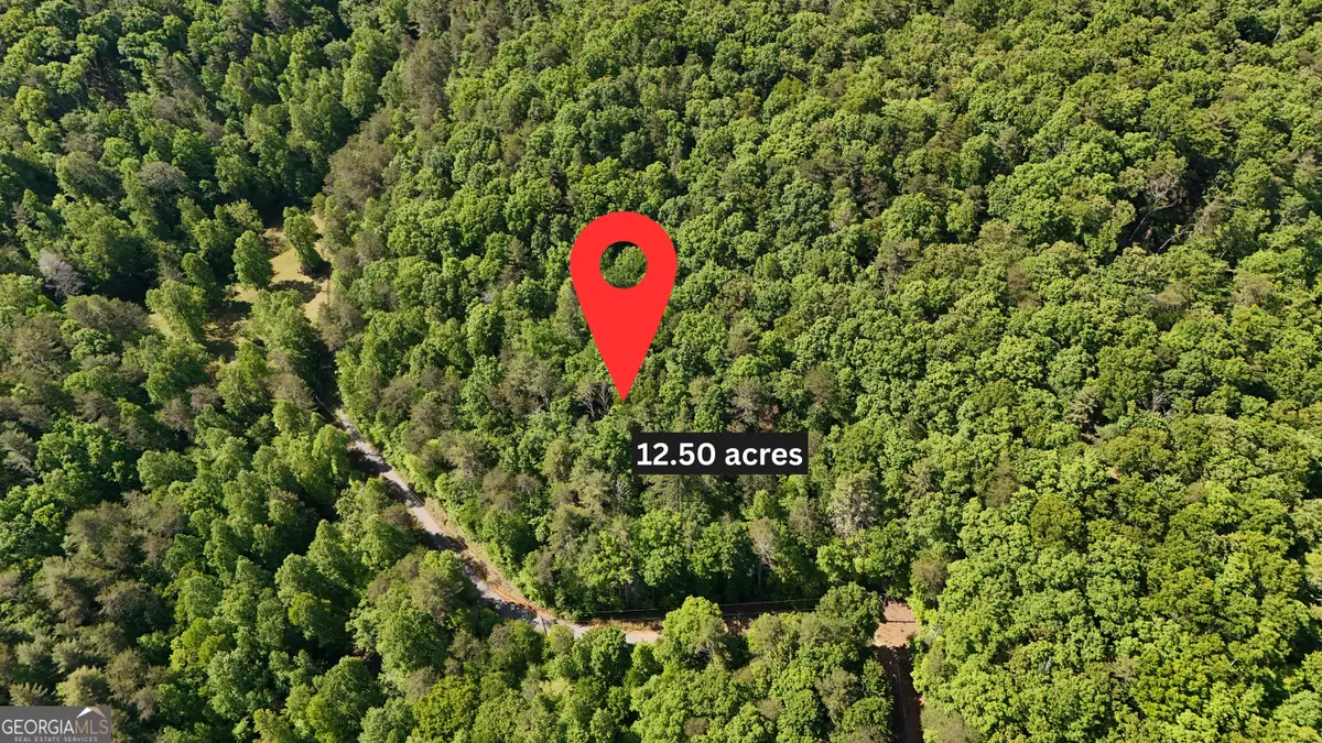 0 Gold Springs Road, Cherry Log, GA 30522 - #1