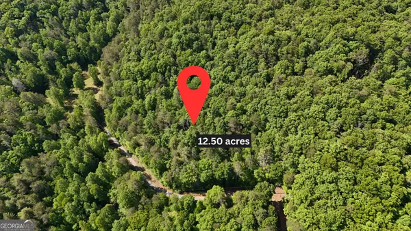 0 Gold Springs Road, Cherry Log, GA 30522
