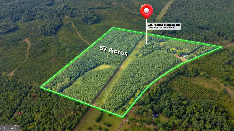 235 Mount Hebron Road, Coleman, GA 39836 - #2
