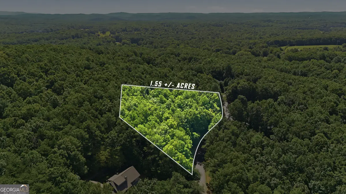 LOT 725 Plum Lane, Clarkesville, GA 30523 - #1