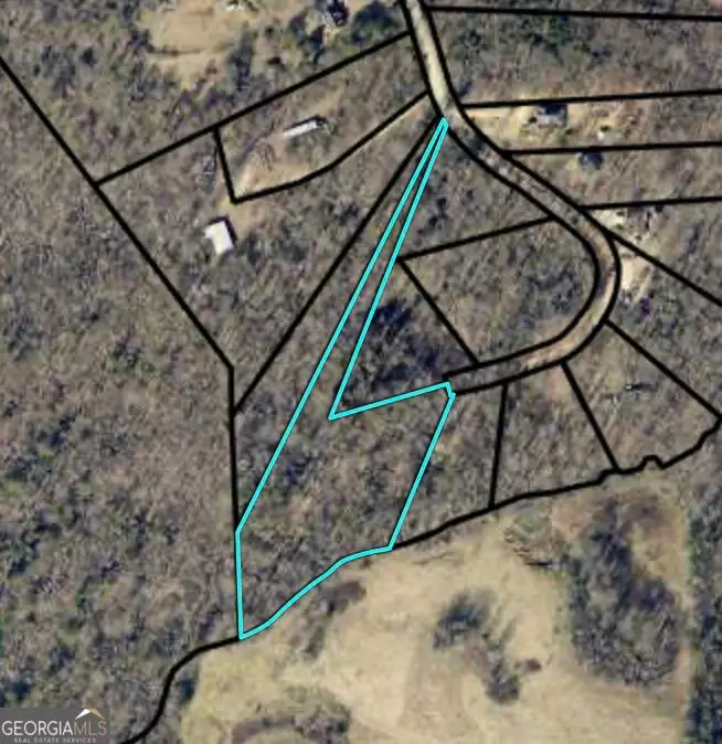 0 Rue De Cason May, Carnesville, GA 30521 - #1