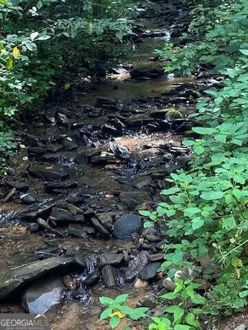 00 Seven Springs, Jasper, GA 30143 - #1