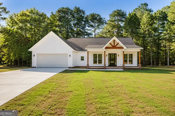 20 Peri Dr, Hawkinsville, GA 31036