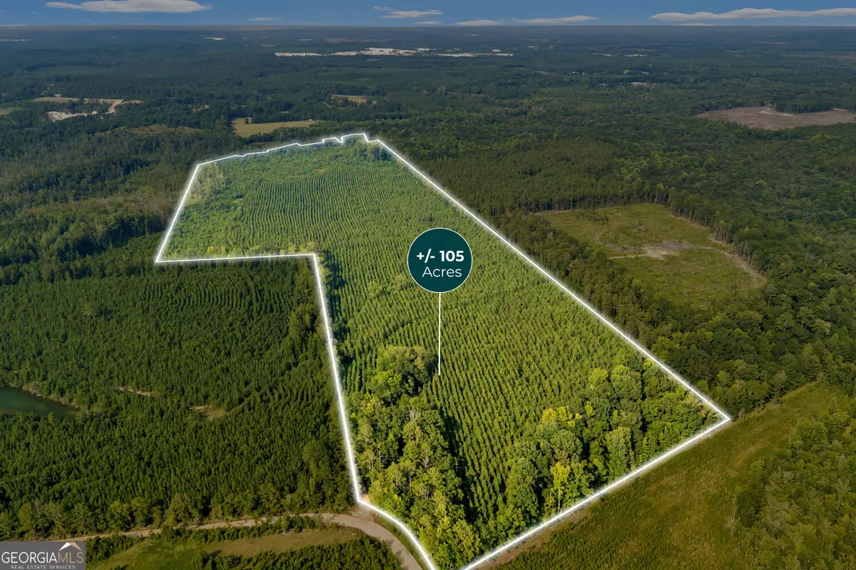 MERCER TRACT New Hopewell Church Road, Jeffersonville, GA 31044 - #1