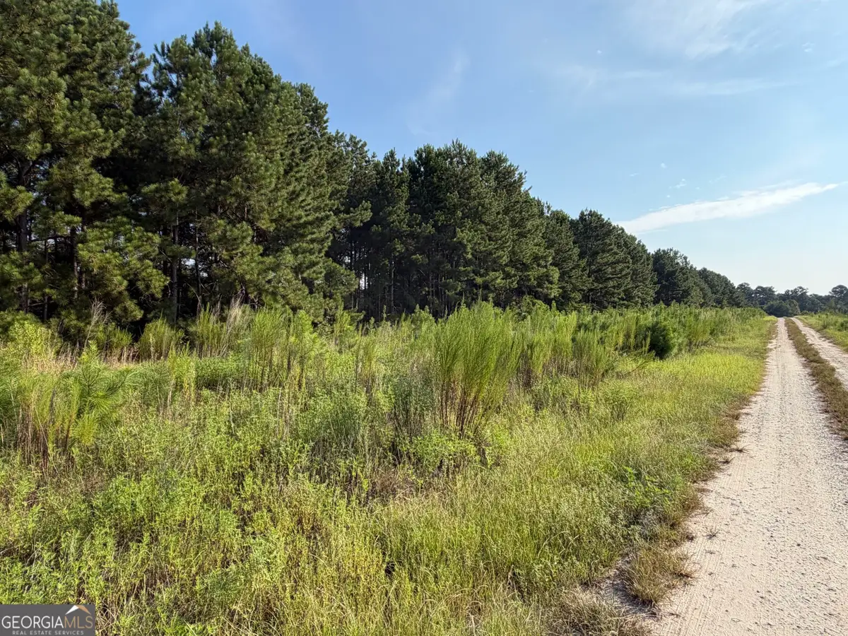 0 Highway 296, Stapleton, GA 30823 - #1