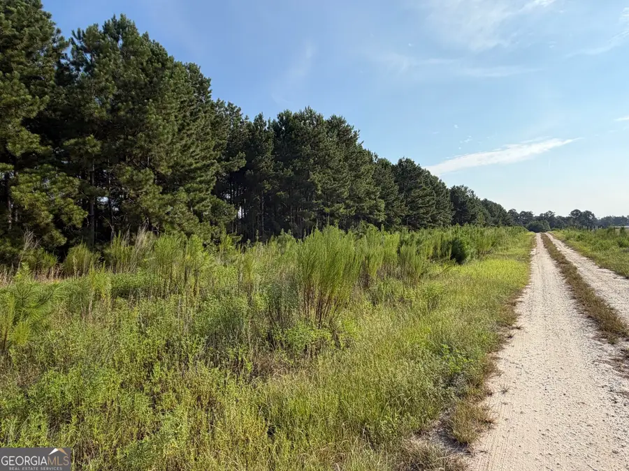 0 Highway 296, Stapleton, GA 30823 - #3