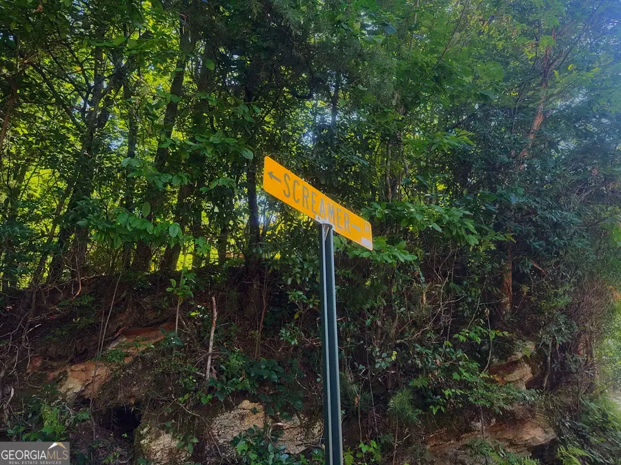 0 Screamer Drive, Clayton, GA 30525 - #3