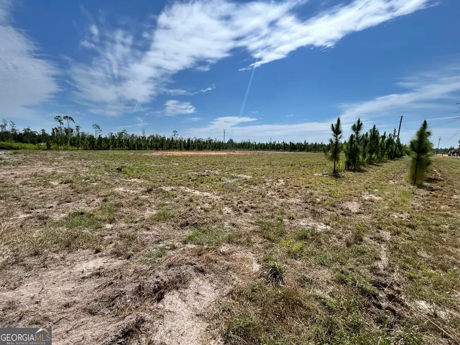 2096 Sellers Road Nw, Baxley, GA 31513 - #2