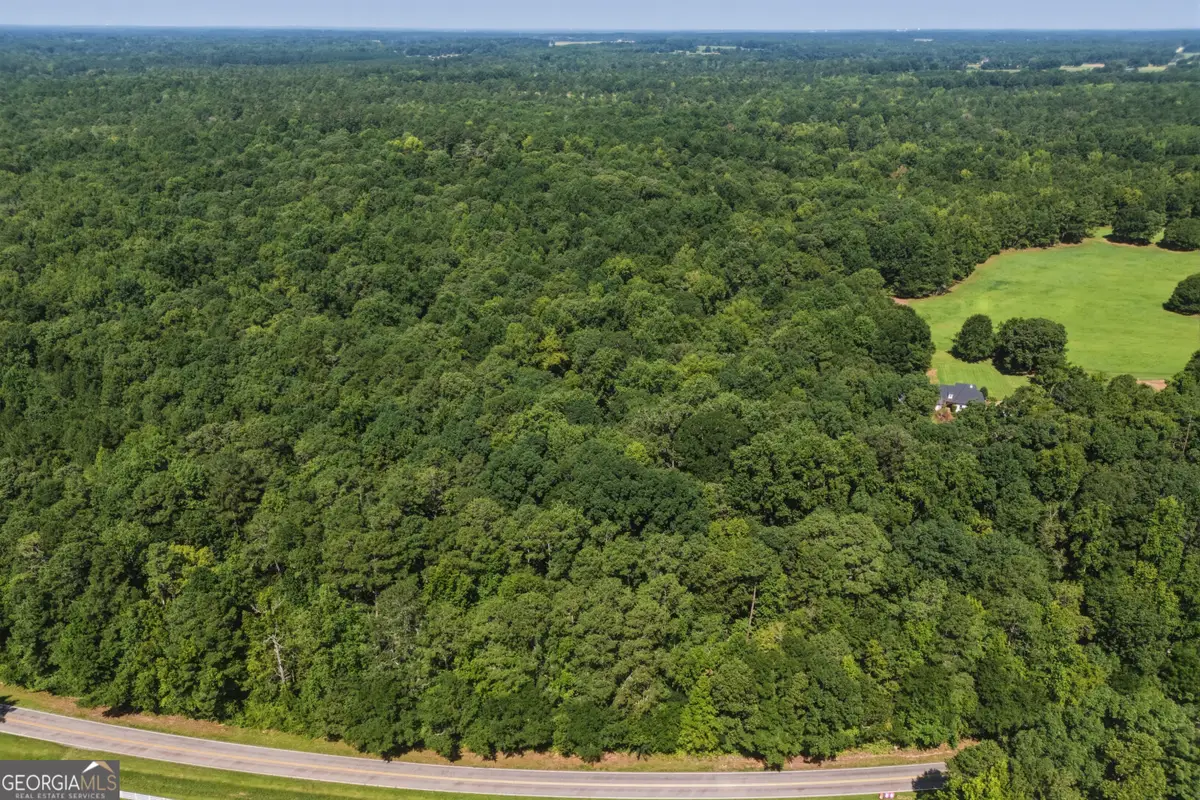 3120 Highway 229, Mansfield, GA 30055 - #1
