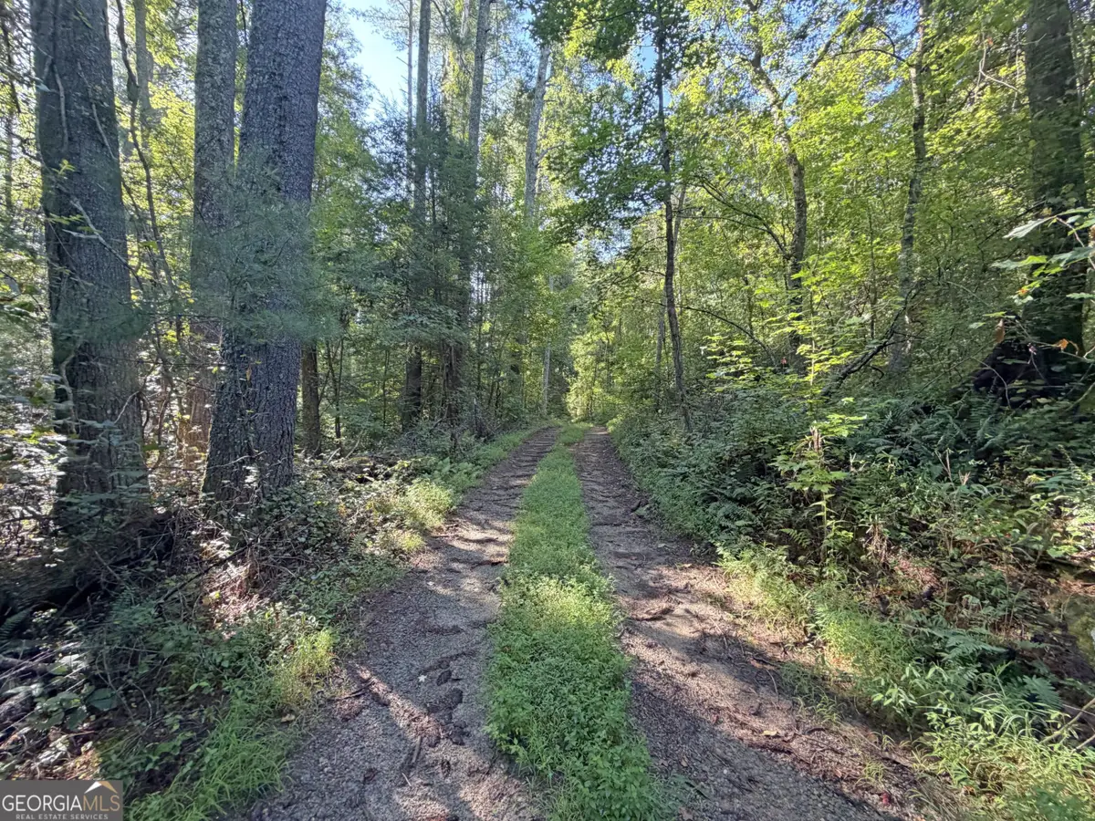 505 Hank Fry Road, Clarkesville, GA 30523 - #1