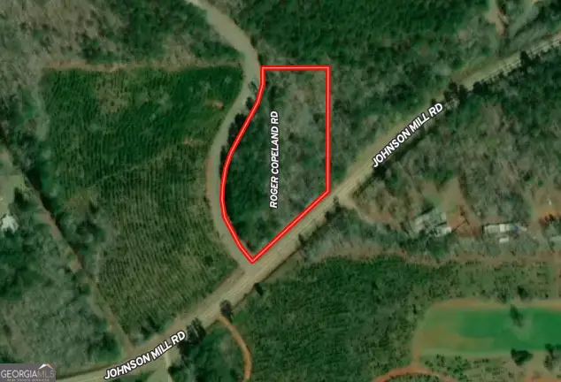 2.03 AC Johnson Mill Road, Hamilton, GA 31811 - #1