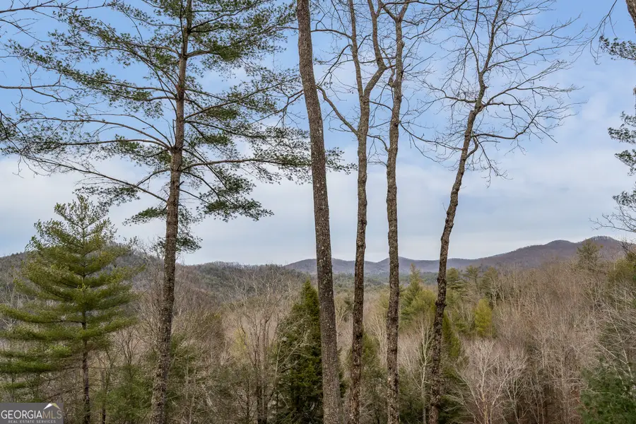 131 Toccoa Overlook Lane, Blue Ridge, GA 30513 - #2