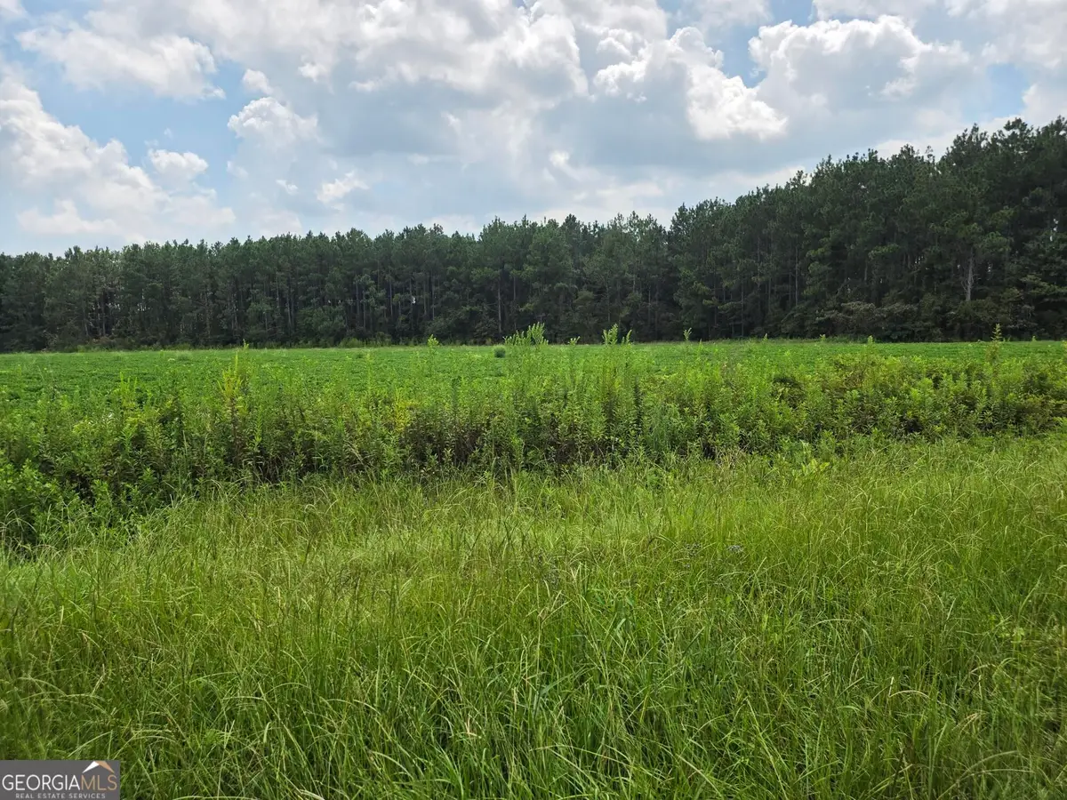 0 Roy And Blanche Hulett Road #7, Fitzgerald, GA 31750 - #1