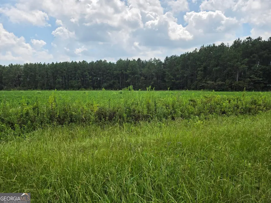 0 Roy And Blanche Hulett Road #7, Fitzgerald, GA 31750 - #2