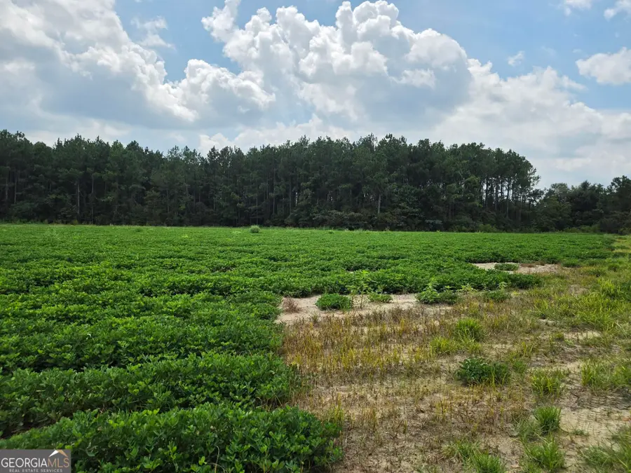 0 Roy And Blanche Hulett Road #7, Fitzgerald, GA 31750 - #3