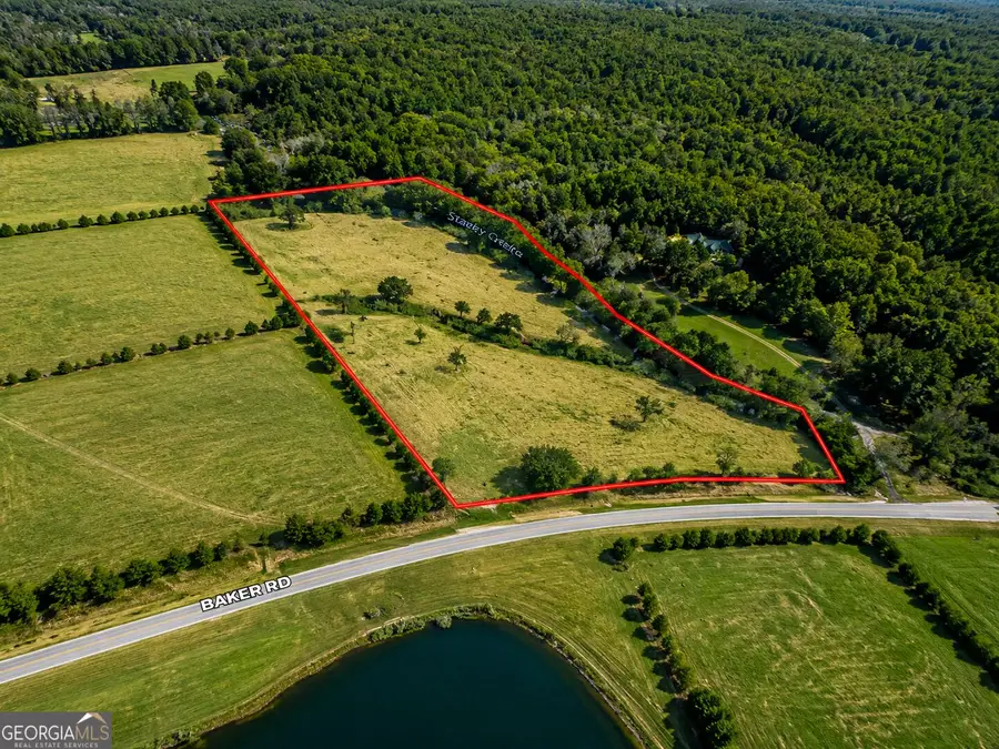 7.65 ACRES Baker Rd, Shiloh, GA 31826 - #2