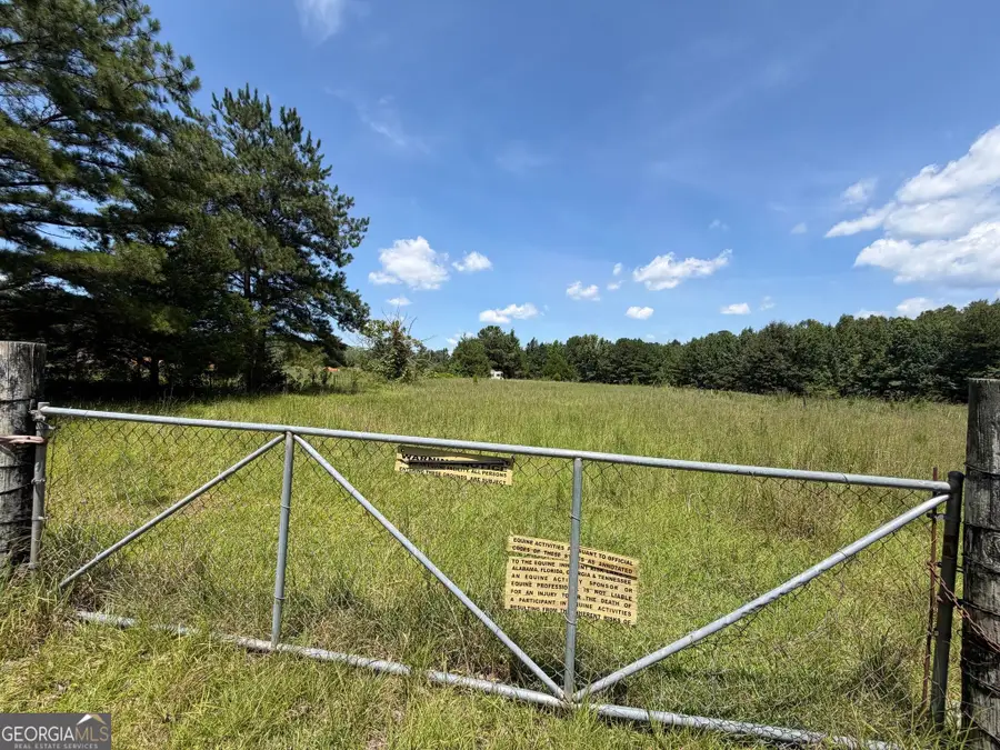 7.65 ACRES Baker Rd, Shiloh, GA 31826 - #3
