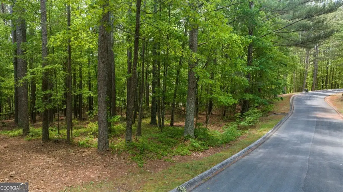 0 Golden Delicious Road, Clarkesville, GA 30523 - #1