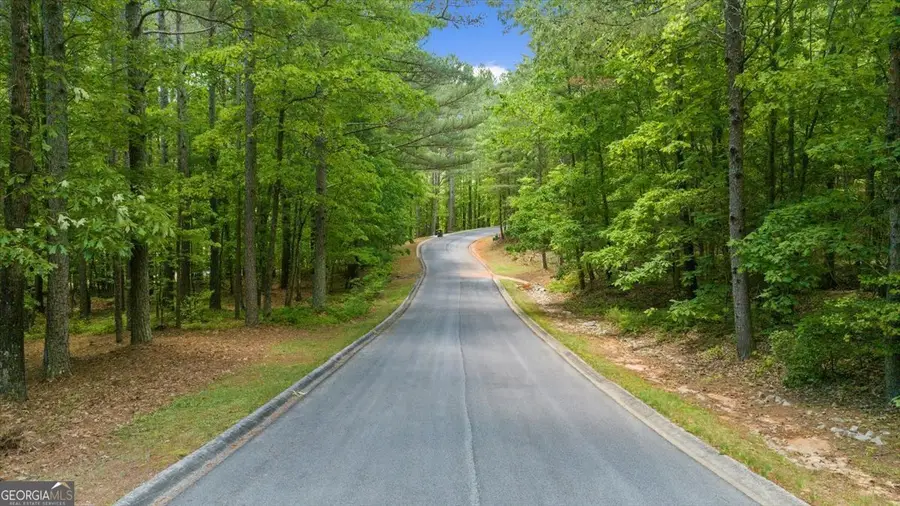 0 Golden Delicious Road, Clarkesville, GA 30523 - #3