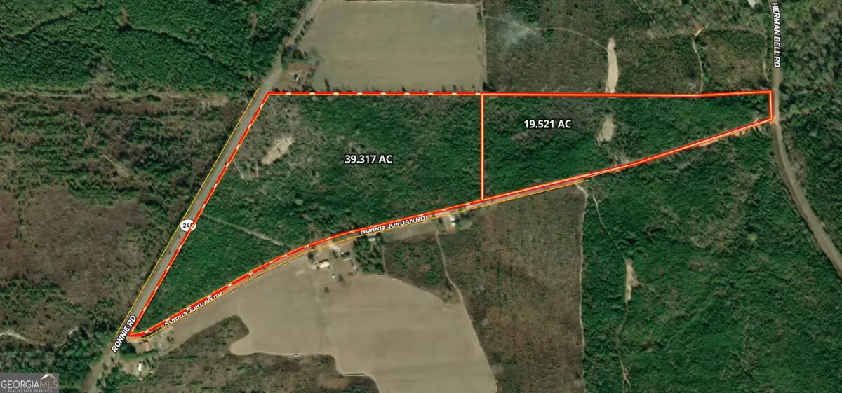 19.521 AC Herman Bell Road, Mauk, GA 31058 - #1