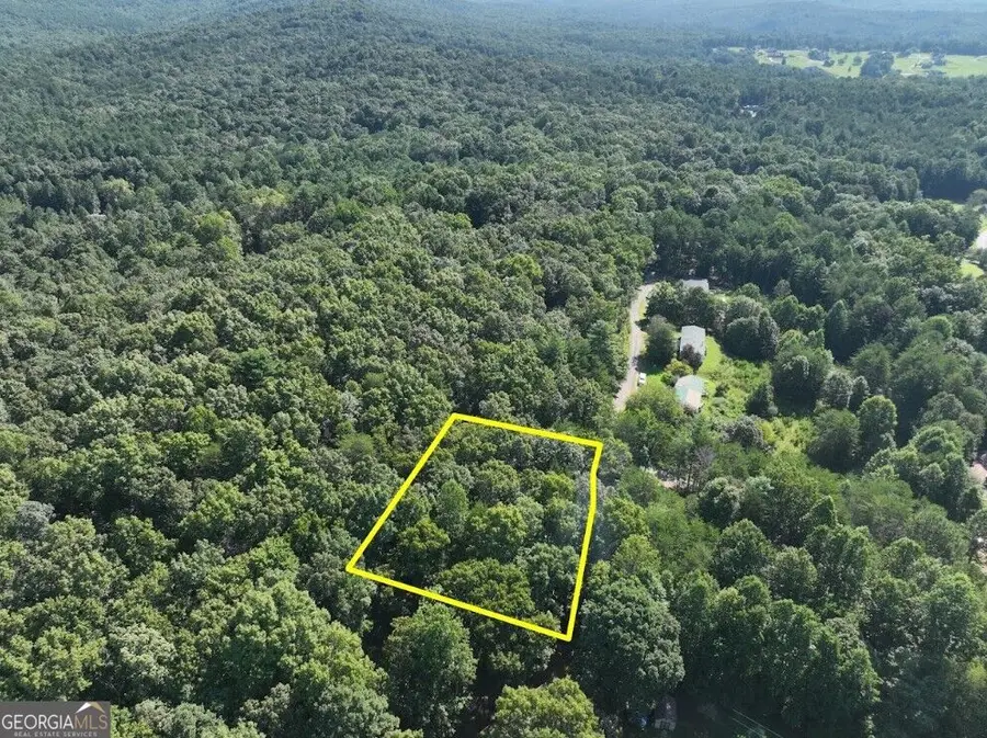 0 Popular Drive #LOT 4, Blairsville, GA 30512 - #3